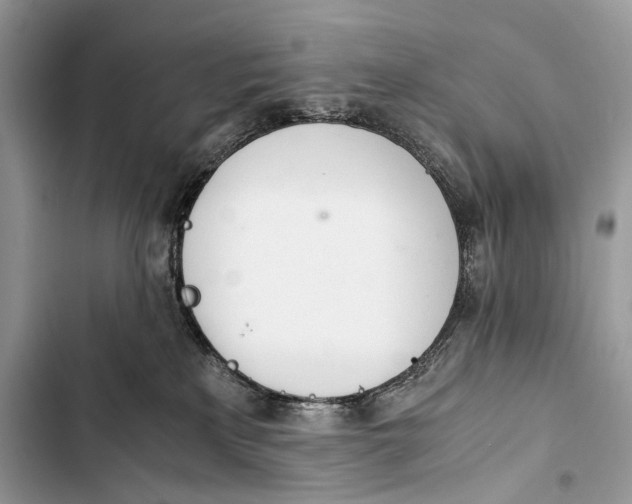 X0000103480233200810031550