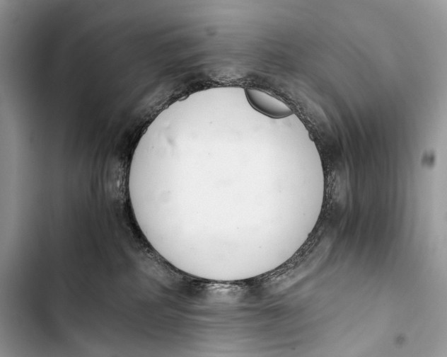 X0000103480234200810031550