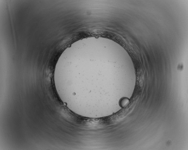 X0000103480235200810031550