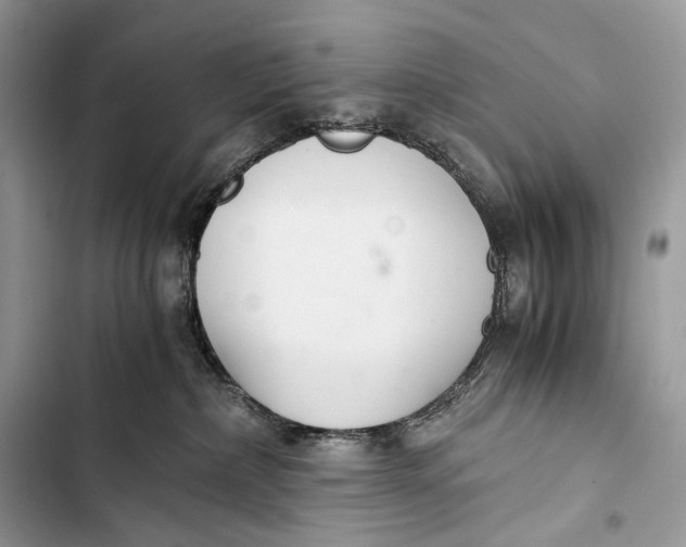 X0000103480236200810031550