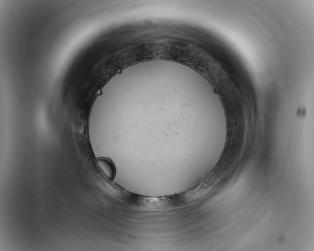 X0000103480239200810031550