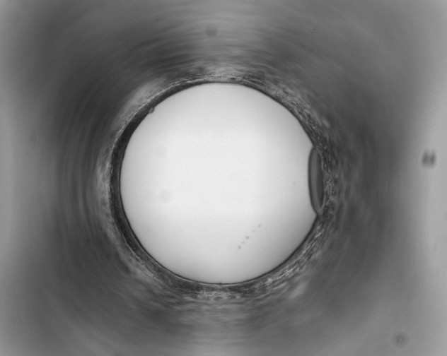 X0000103480242200810031549