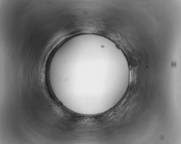 X0000103480243200810031549