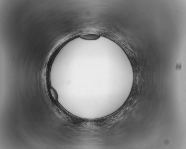 X0000103480244200810031549