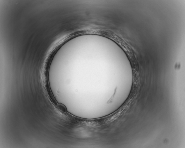 X0000103480245200810031549