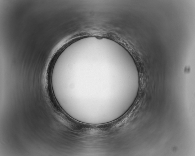 X0000103480246200810031549