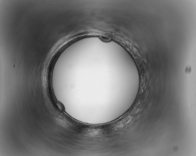 X0000103480247200810031549