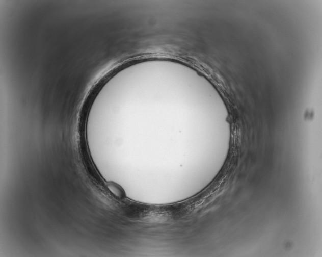 X0000103480248200810031549