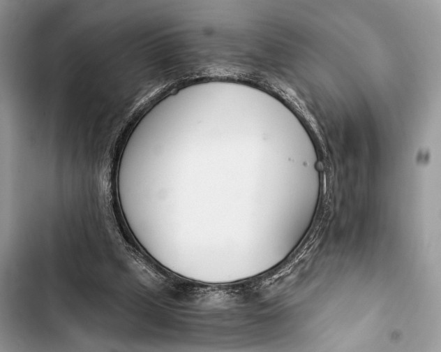 X0000103480249200810031549