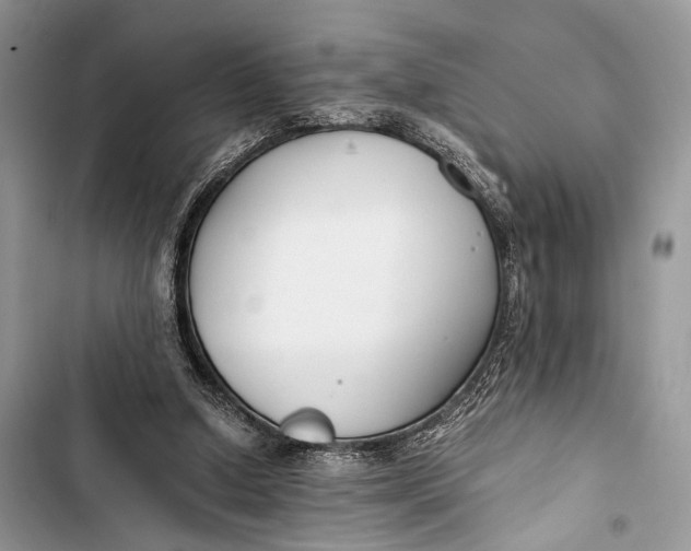 X0000103480250200810031549