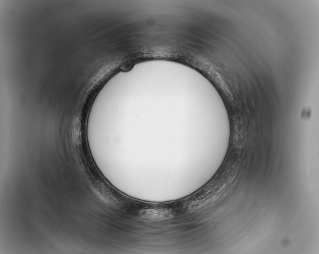 X0000103480251200810031549