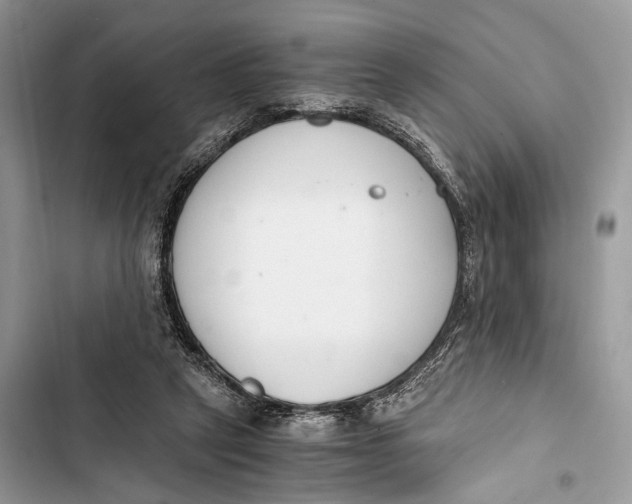 X0000103480257200810031549