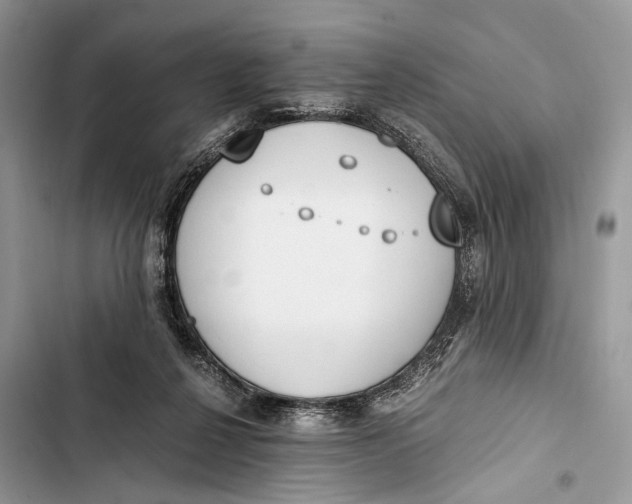 X0000103480264200810031549