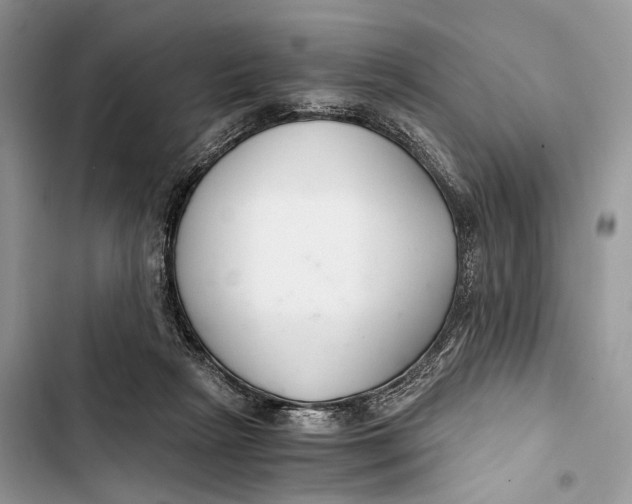 X0000103480265200810031549