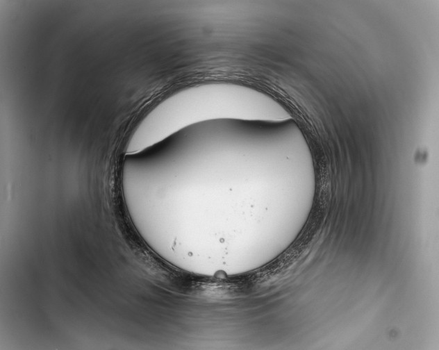 X0000103480268200810031549