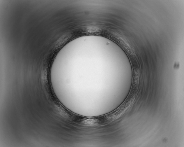 X0000103480269200810031549