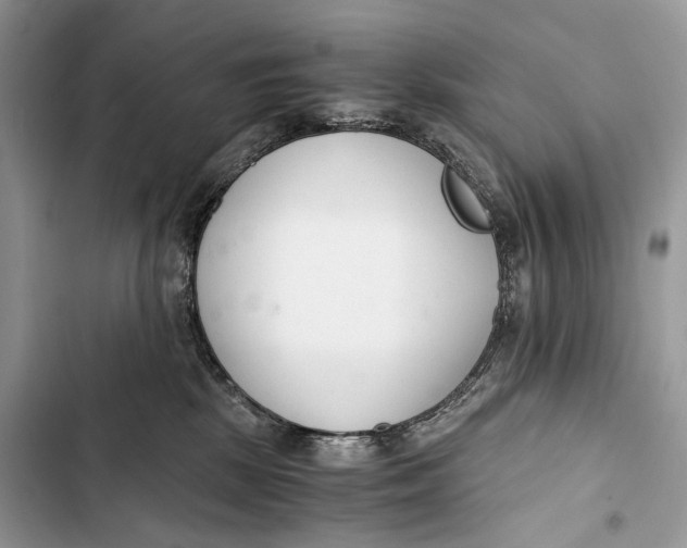 X0000103480281200810031550