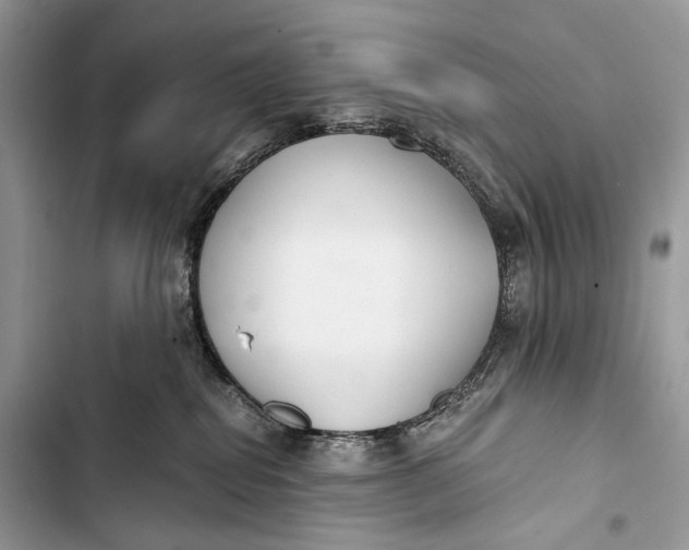 X0000103480282200810031550