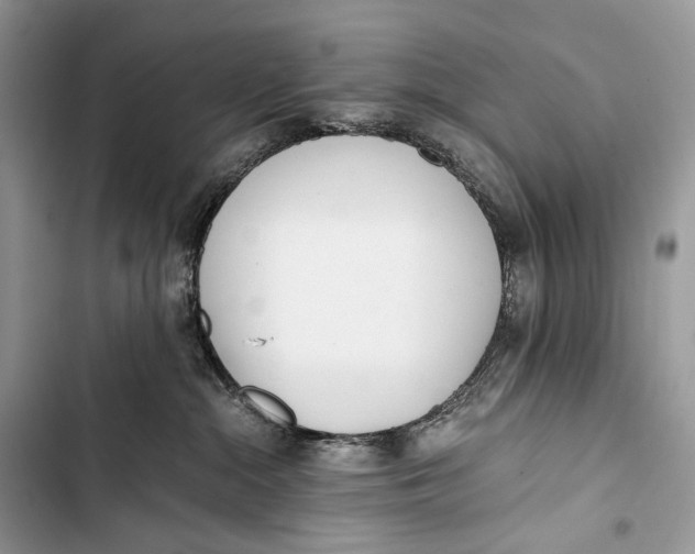 X0000103480284200810031550