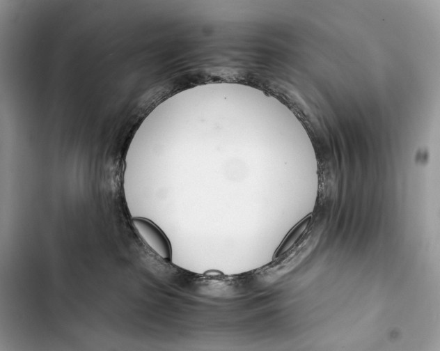 X0000103480285200810031550