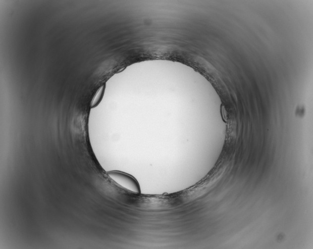 X0000103480286200810031550