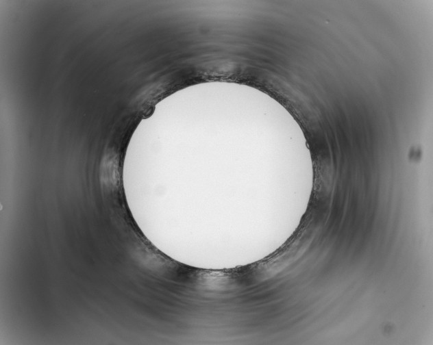 X0000103480287200810031550