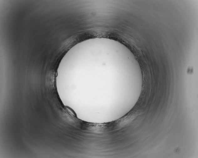 X0000103480288200810031550