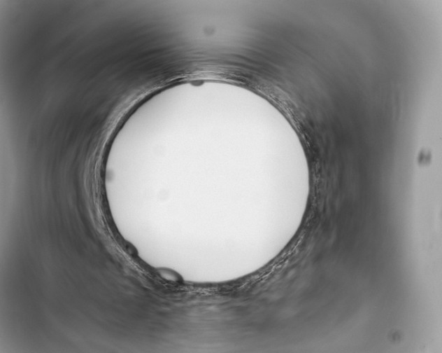 X0000103480289200810031549