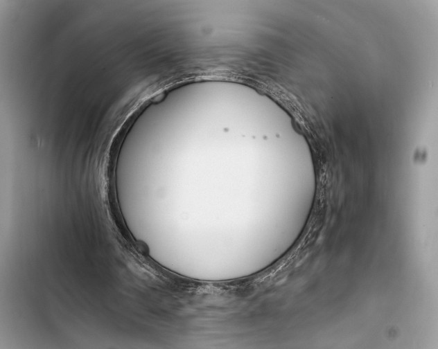 X0000103480290200810031549