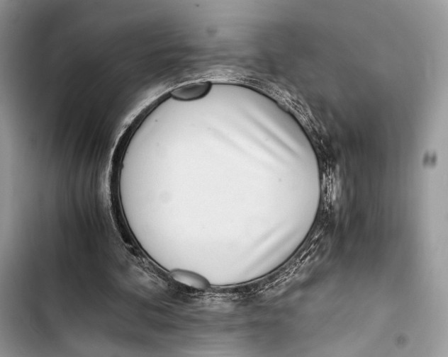 X0000103480292200810031549