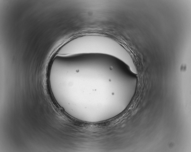 X0000103480293200810031549