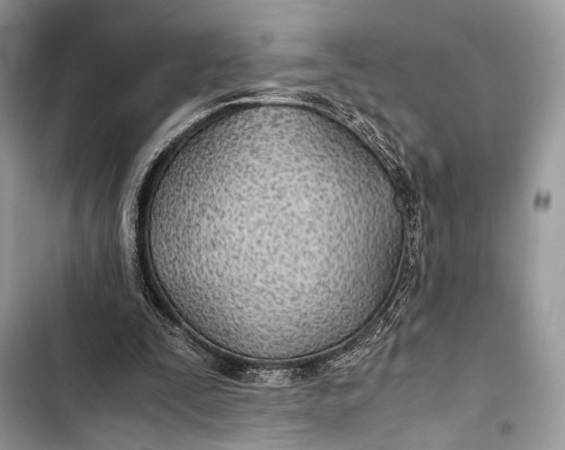 X0000103480295200810031549