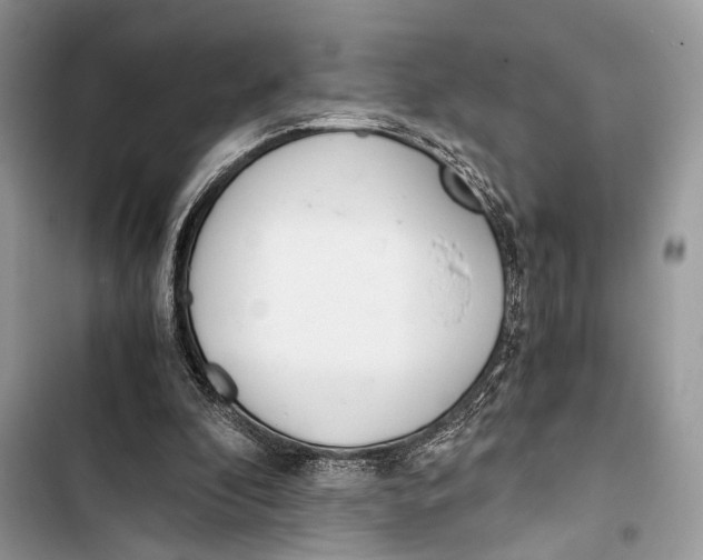 X0000103480296200810031549