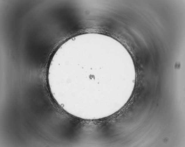 X0000103480297200810031549