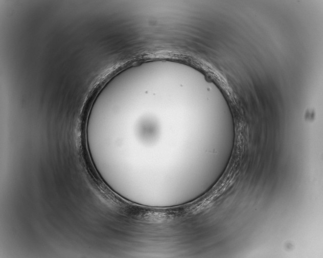 X0000103480298200810031549