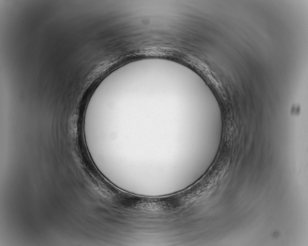 X0000103480299200810031549