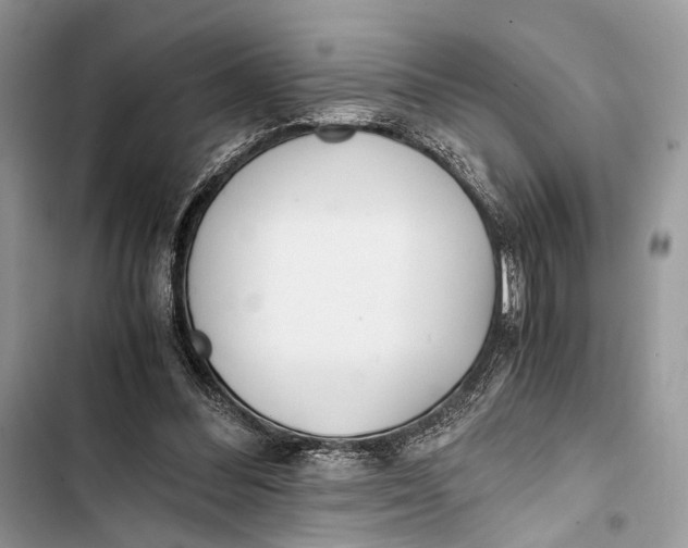 X0000103480300200810031549