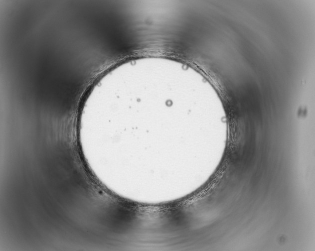 X0000103480301200810031549