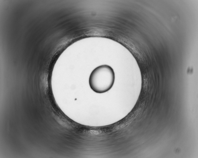 X0000103480302200810031549