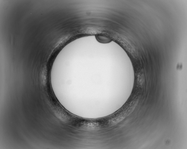 X0000103480304200810031549