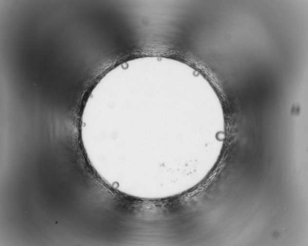 X0000103480305200810031549