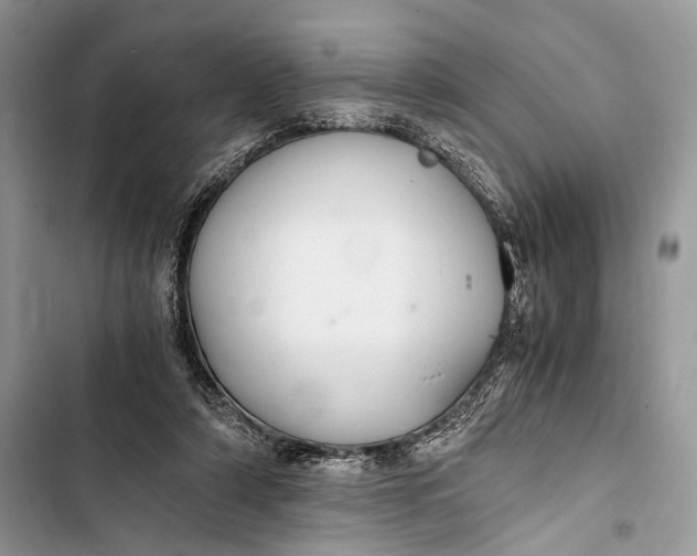 X0000103480306200810031548