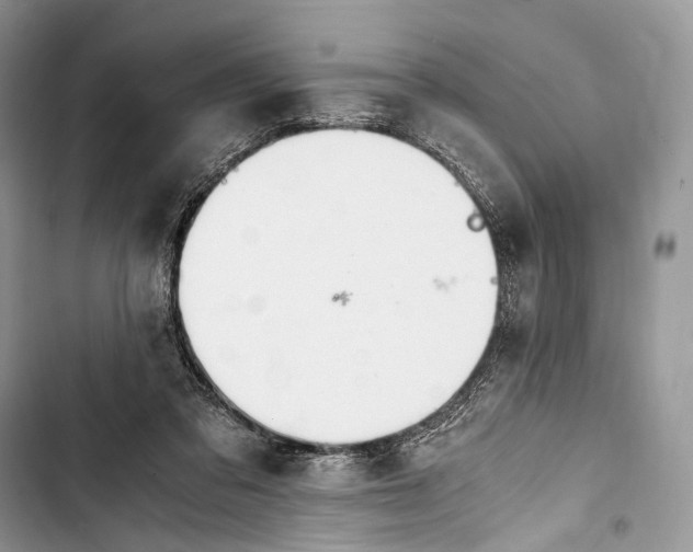 X0000103480309200810031548