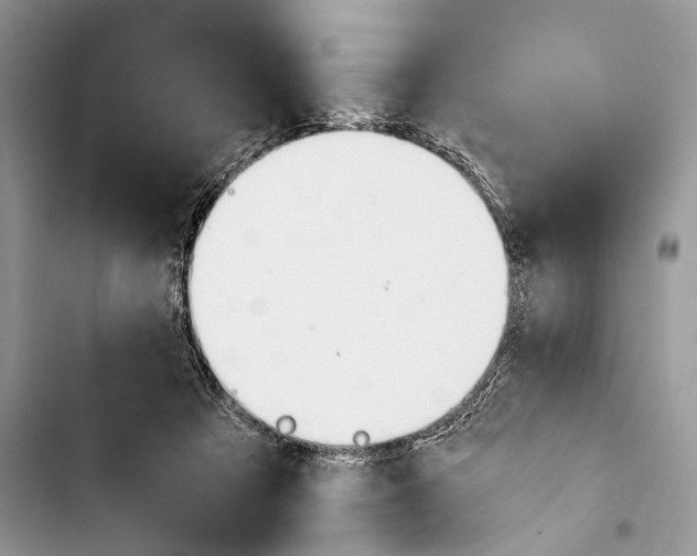 X0000103480313200810031548