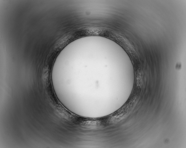 X0000103480314200810031548