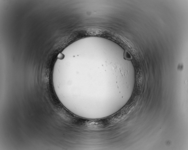 X0000103480315200810031548