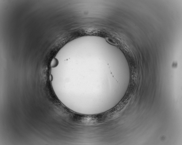 X0000103480319200810031548