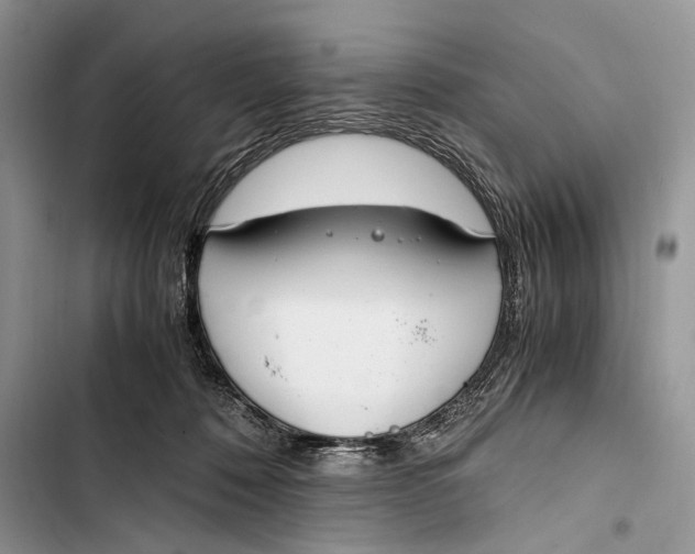 X0000103480320200810031548