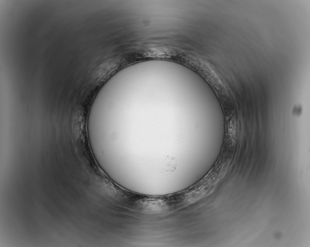 X0000103480322200810031548