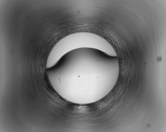 X0000103480324200810031548